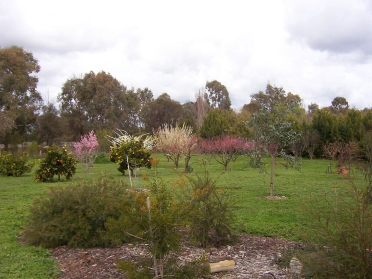 32 Noarana Drive, Benalla