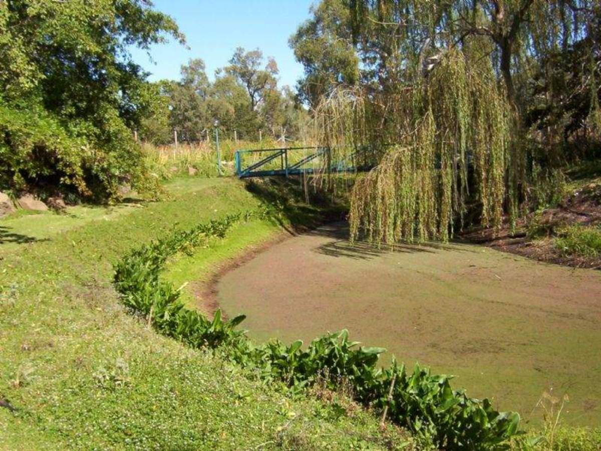 21 Maginness Street, Benalla