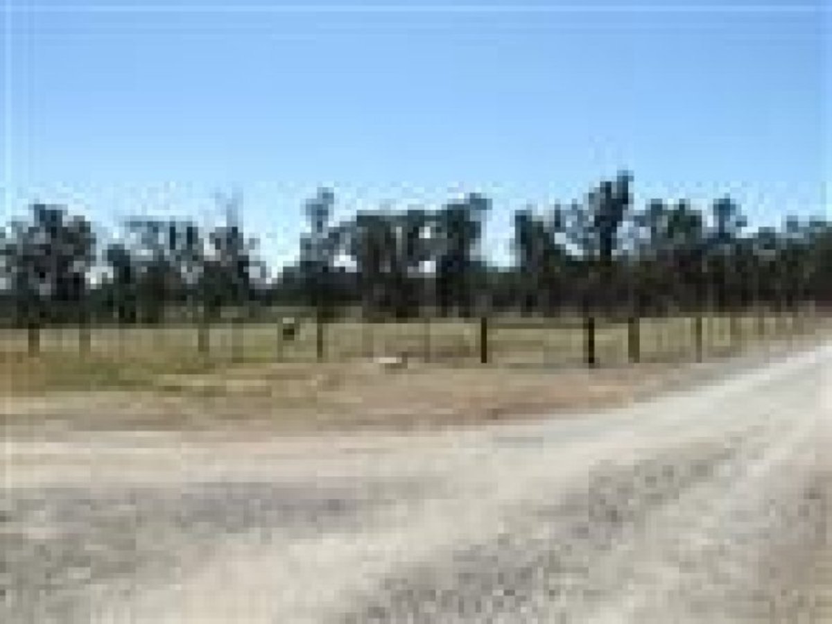 150 Coleman Lane, Benalla