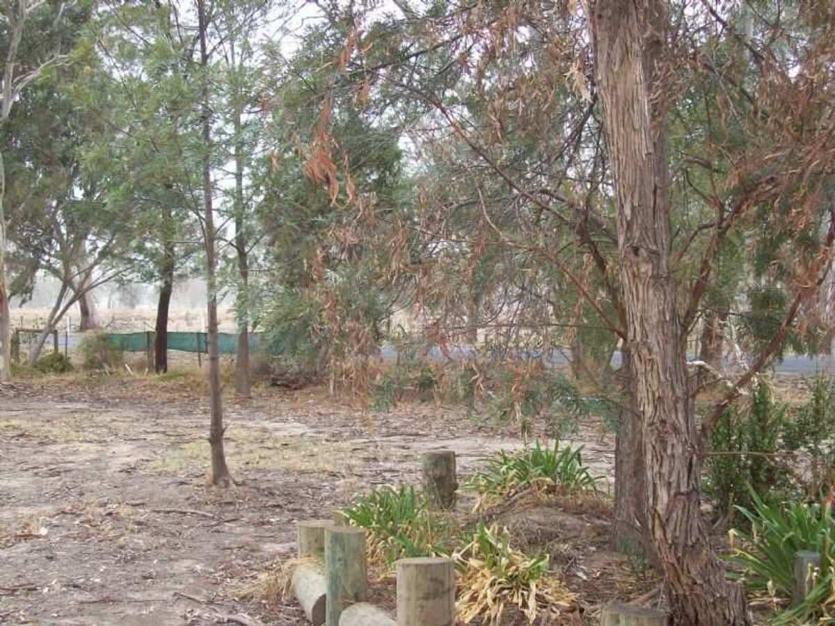 73 Baddaginnie/Warrenbayne Road, Baddaginnie