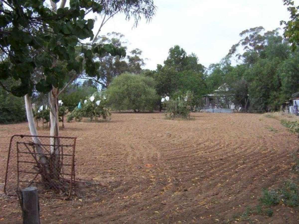 1371 Bungeet Road, Benalla