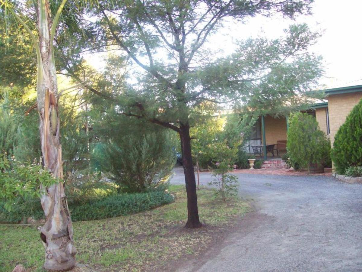 13 Shiffner Street, Violet Town