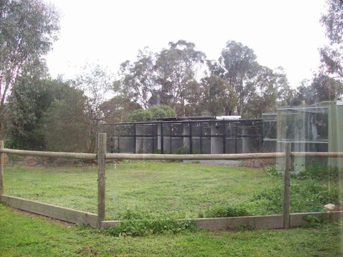 10 Baird Street, Violet Town