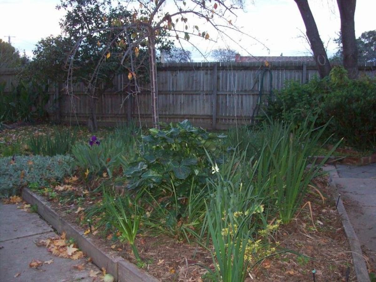 9 Coster Street, Benalla