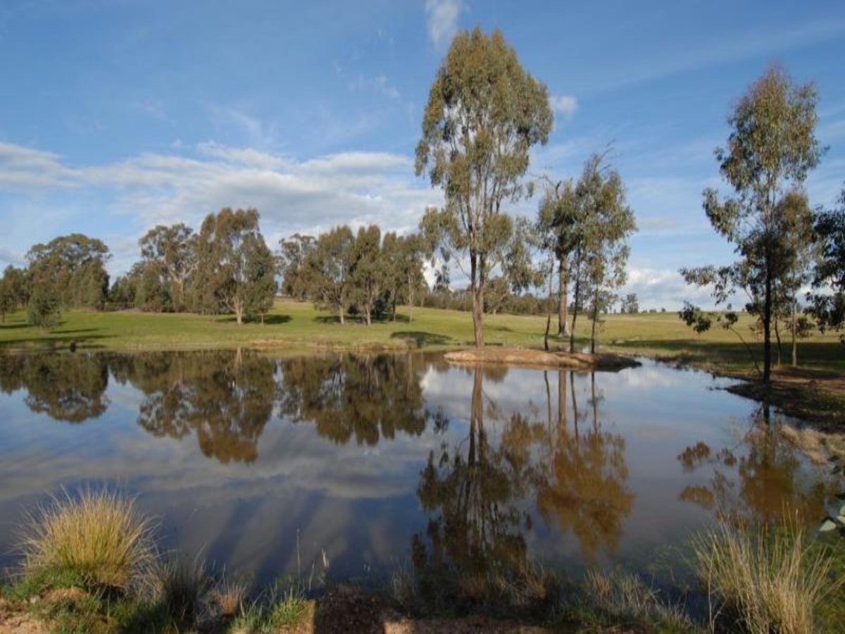 1382 Feltrim Road, Violet Town