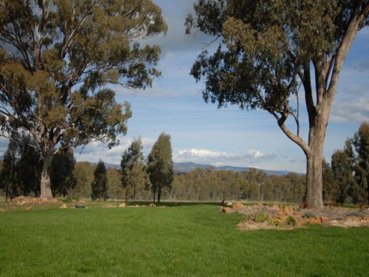 1382 Feltrim Road, Violet Town