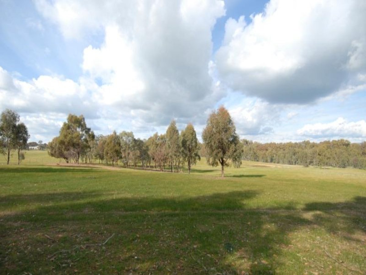 1382 Feltrim Road, Violet Town