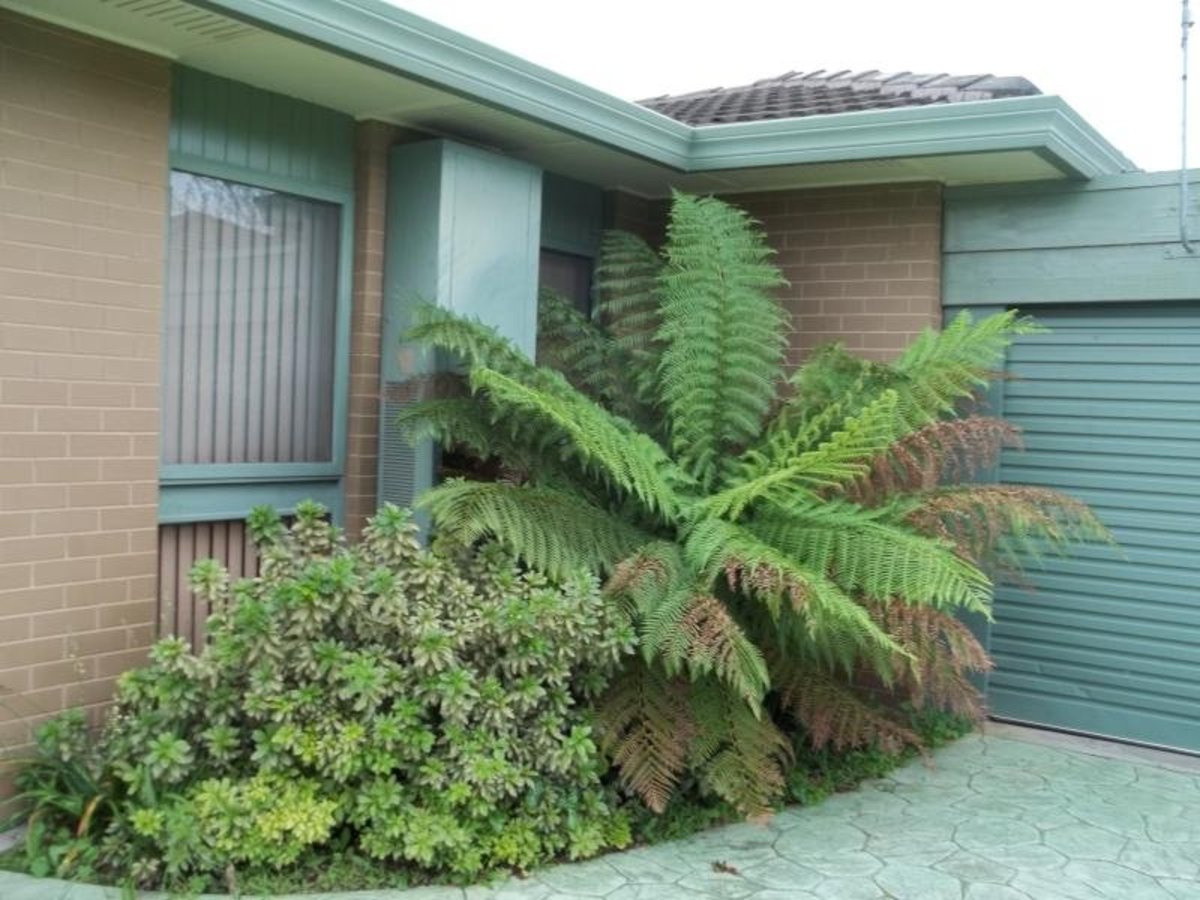 29 Walker Street, Benalla