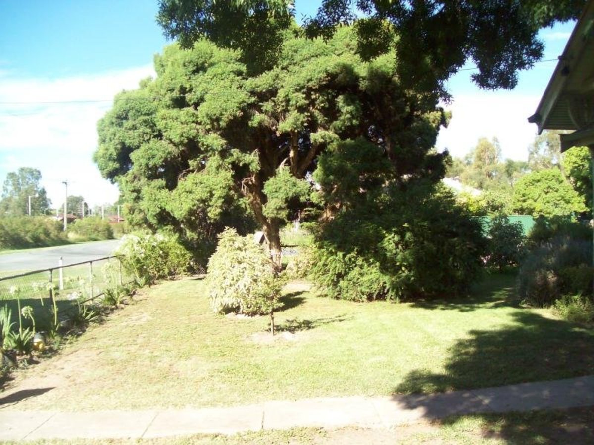 15 Primrose Street, Violet Town