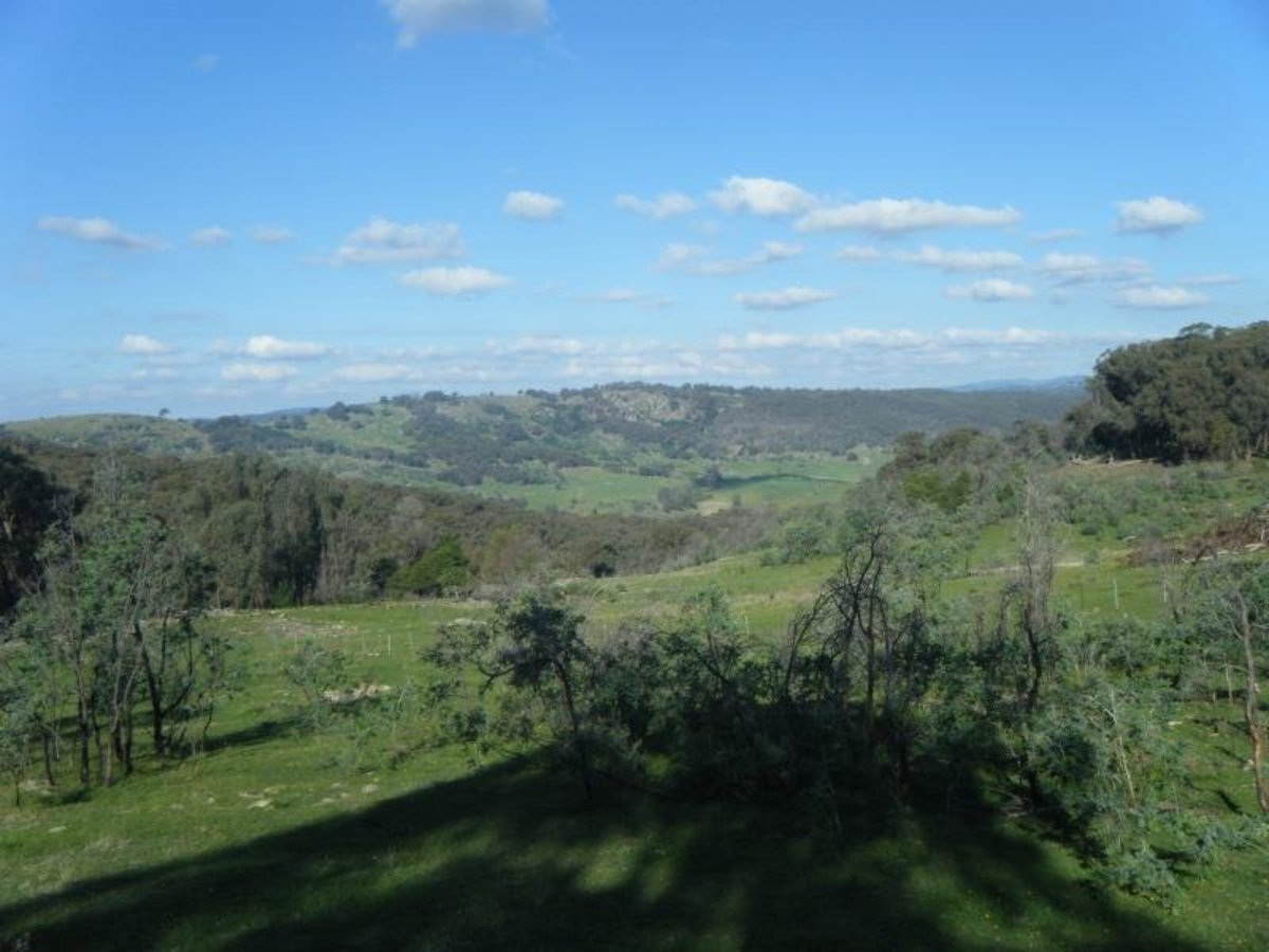 57 Lone Pine Road, Violet Town