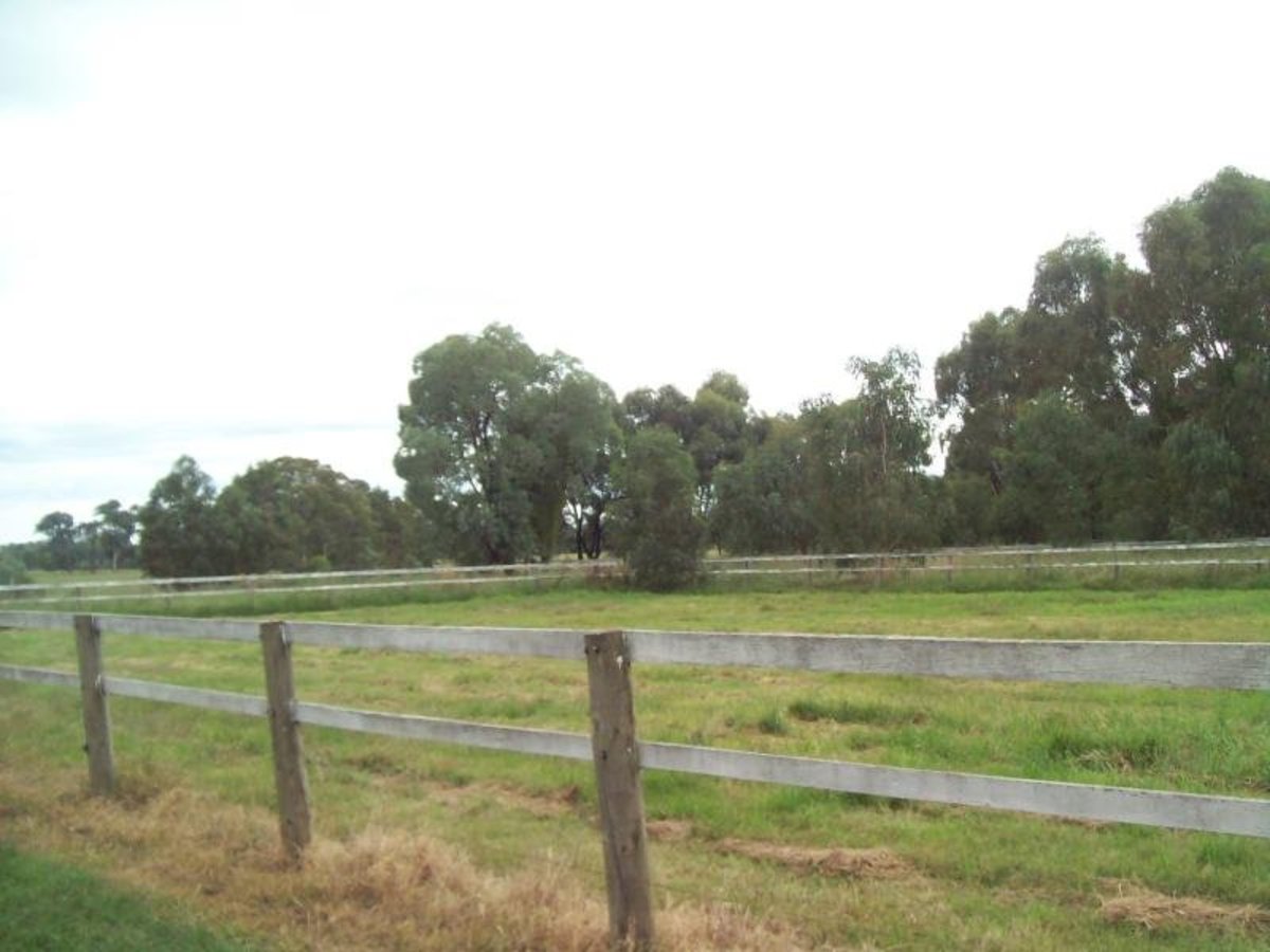 52 Sessions Road, Benalla