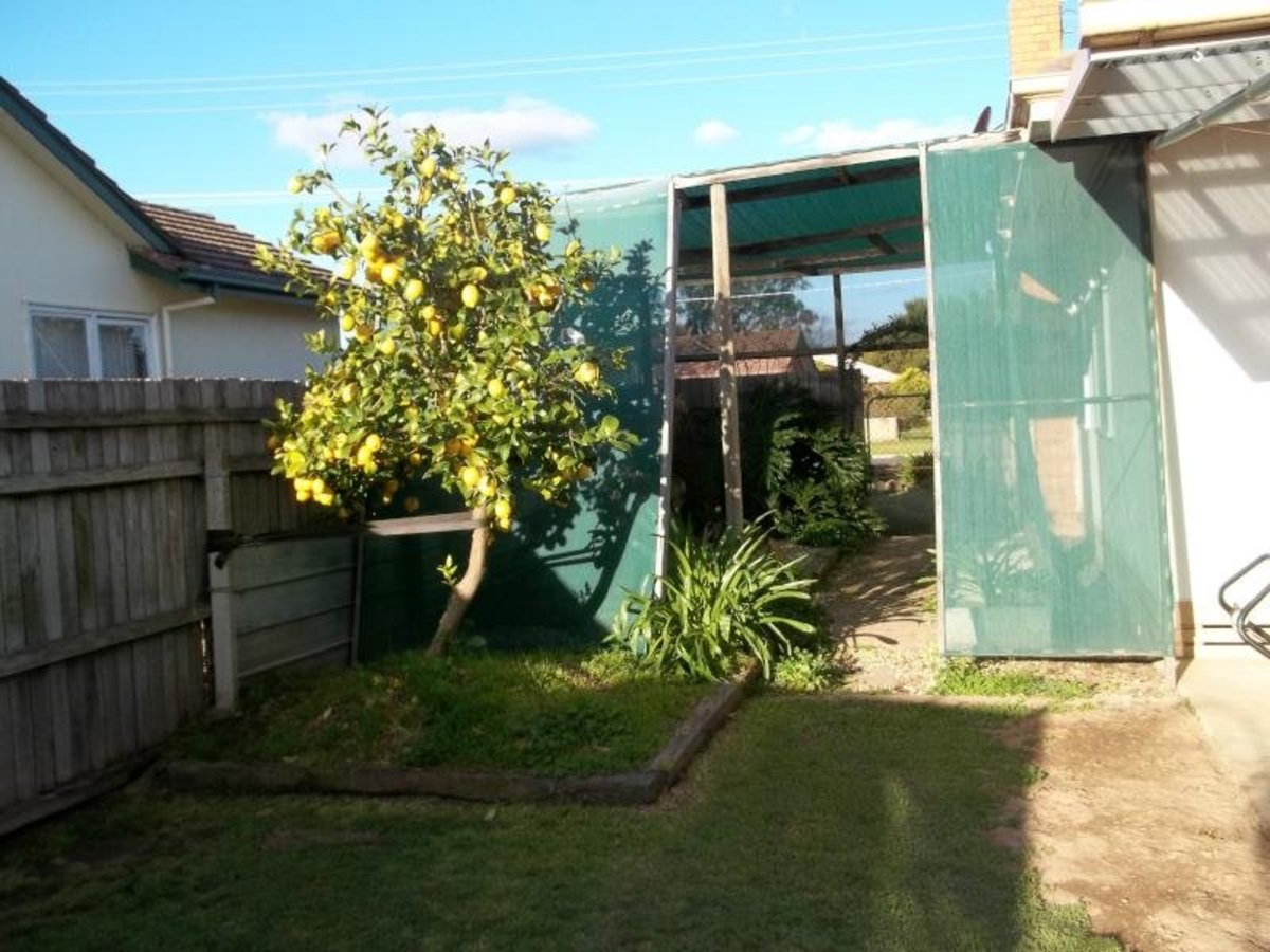 29 Cook Street, Benalla