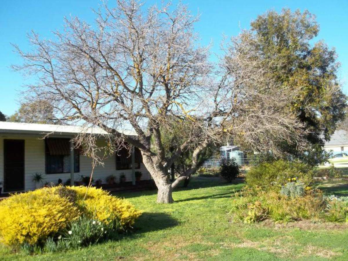 8 Connolly Street, Violet Town