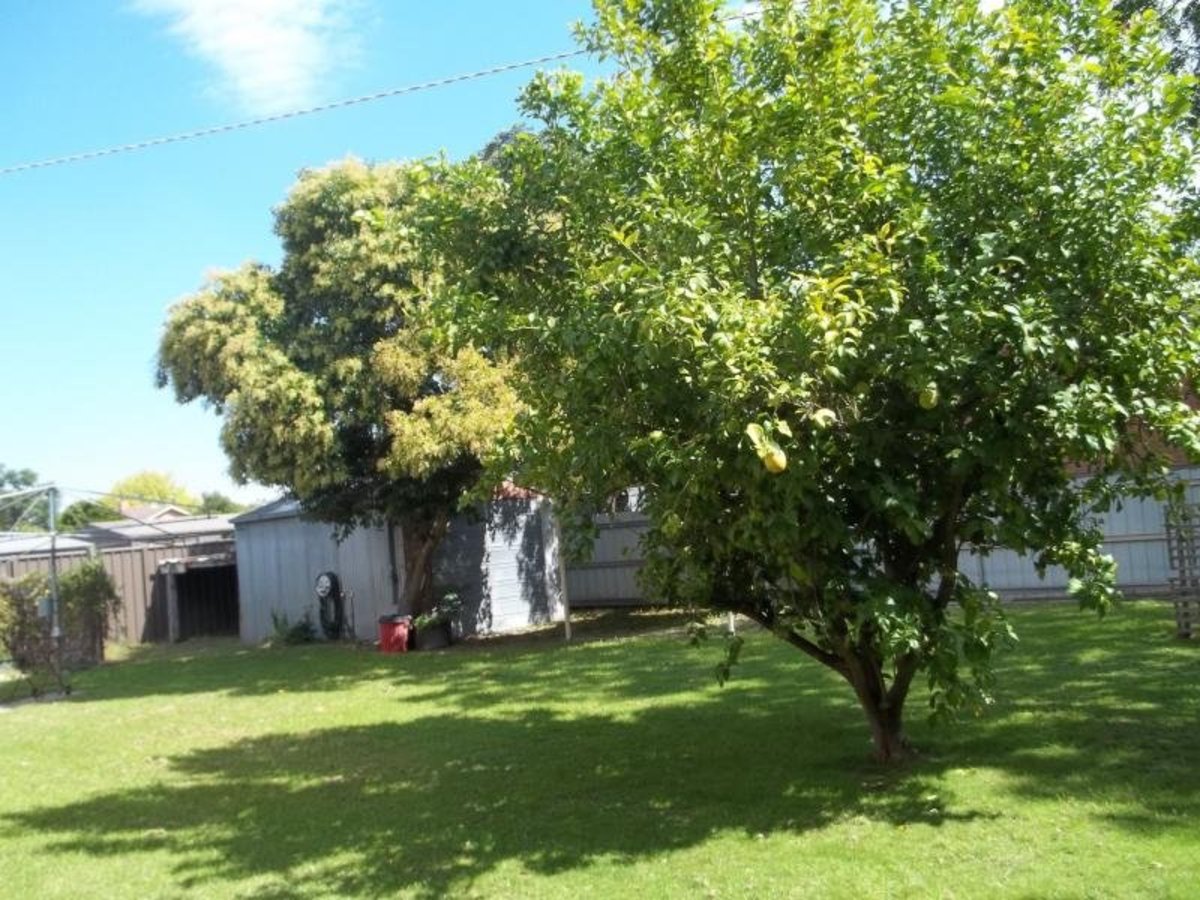 72 Clarke Street, Benalla