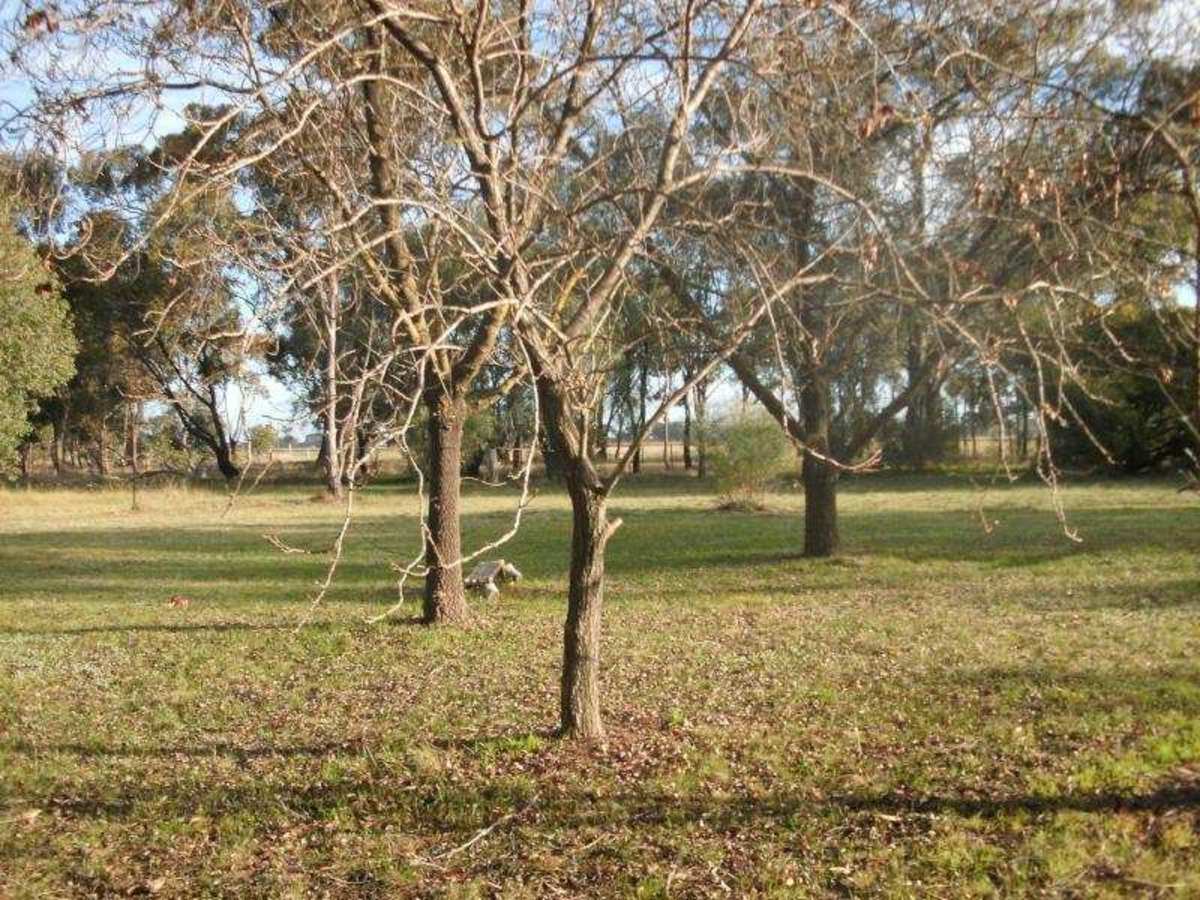 1594 Tocumwal/Benalla Road, Benalla