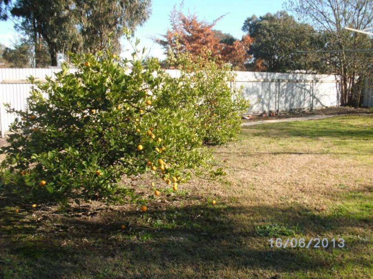 12 Kent Street, Benalla