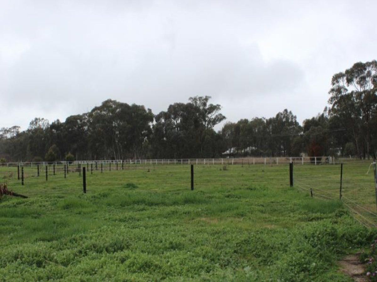 484 Baddaginnie-Benalla Road, Benalla