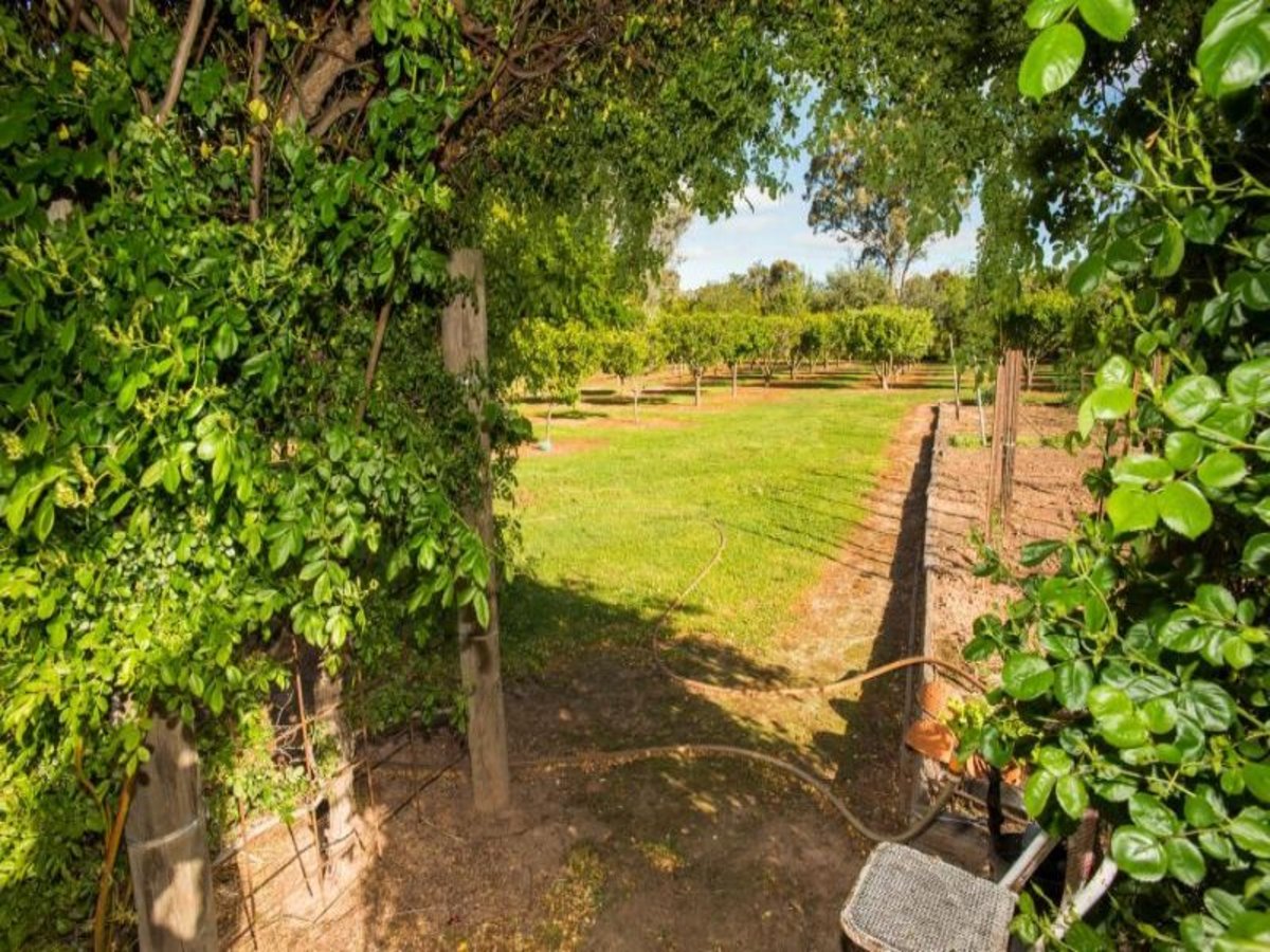 28 Noarana Drive, Benalla