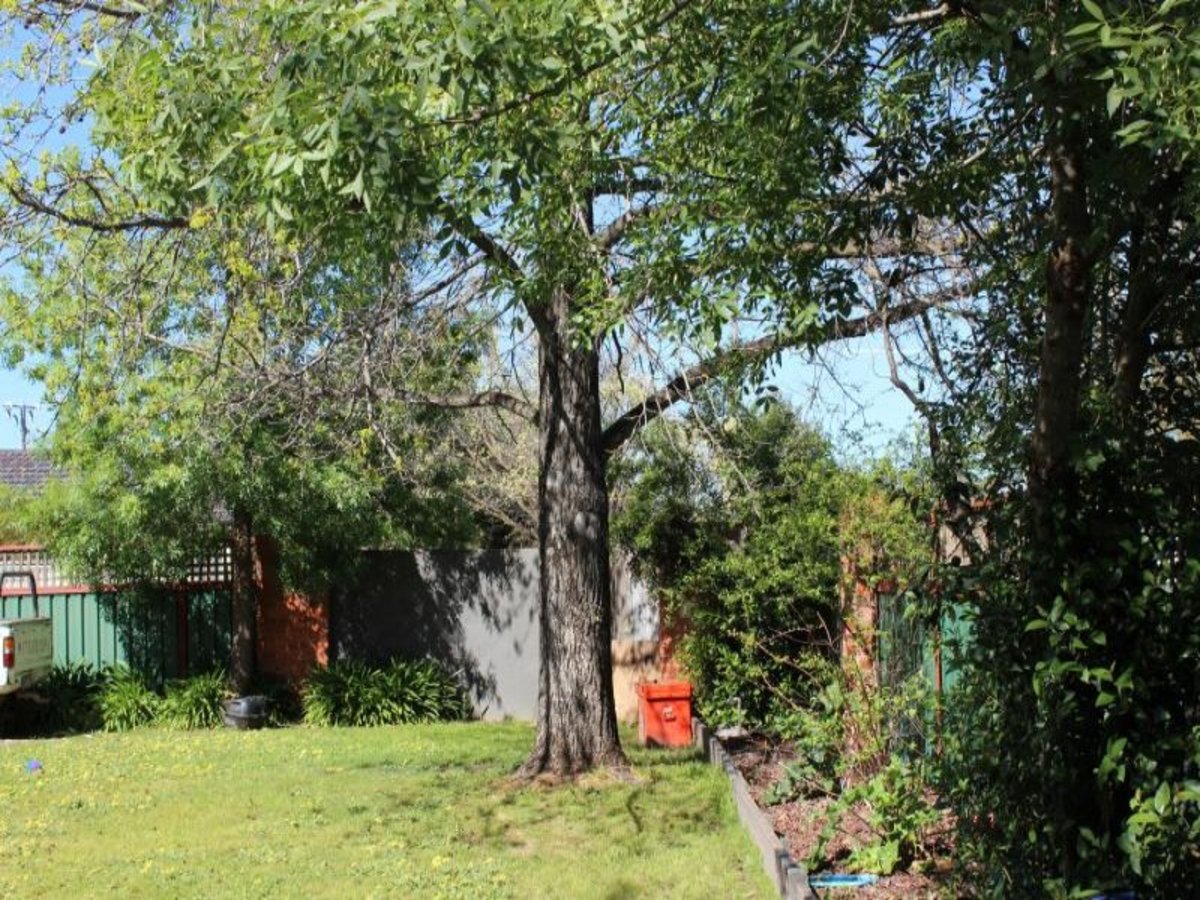 97 Salisbury Street, Benalla