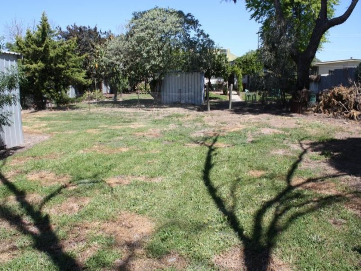 64 Bridge Street, Benalla