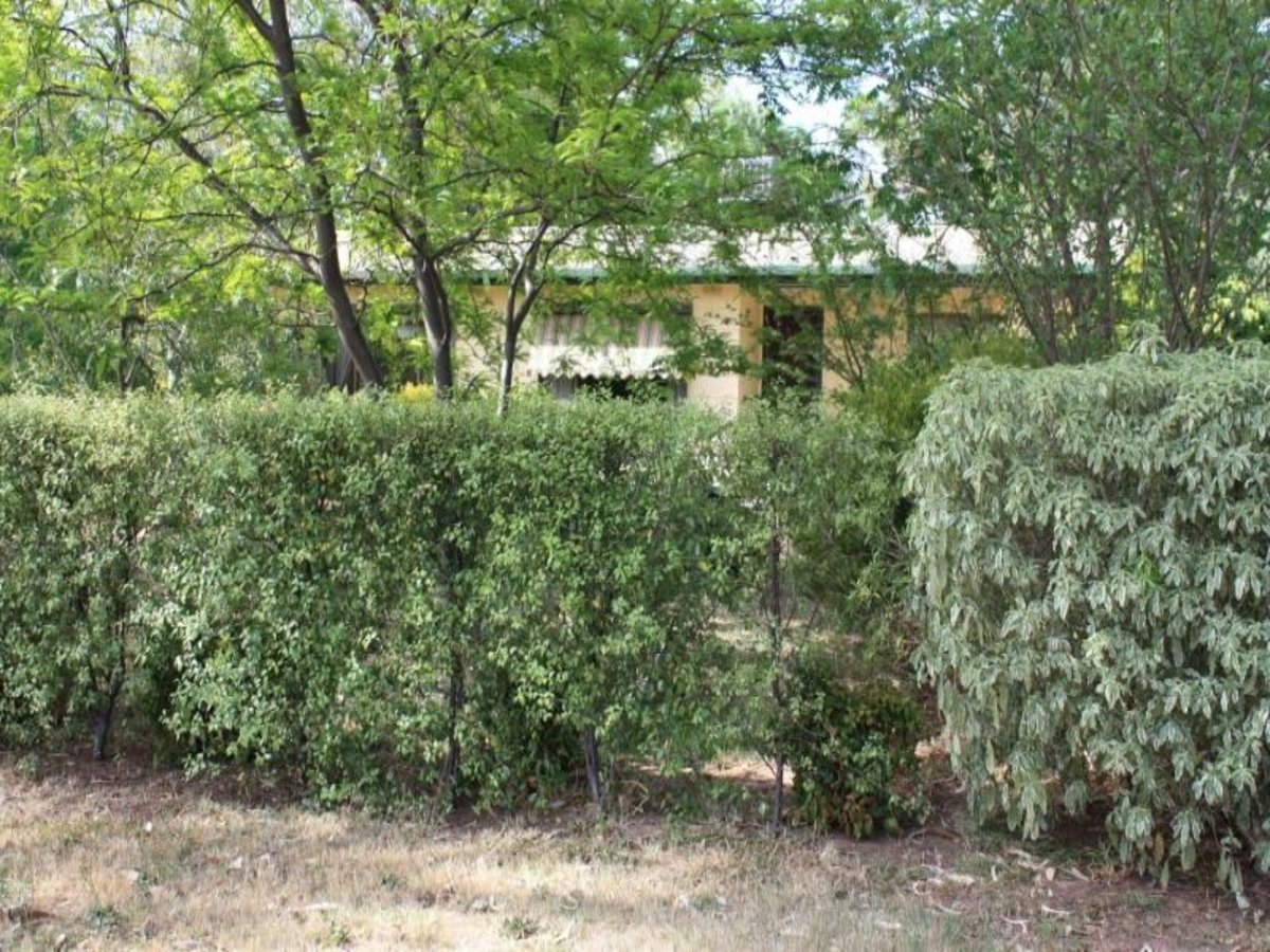 18 Tulip Street, Violet Town