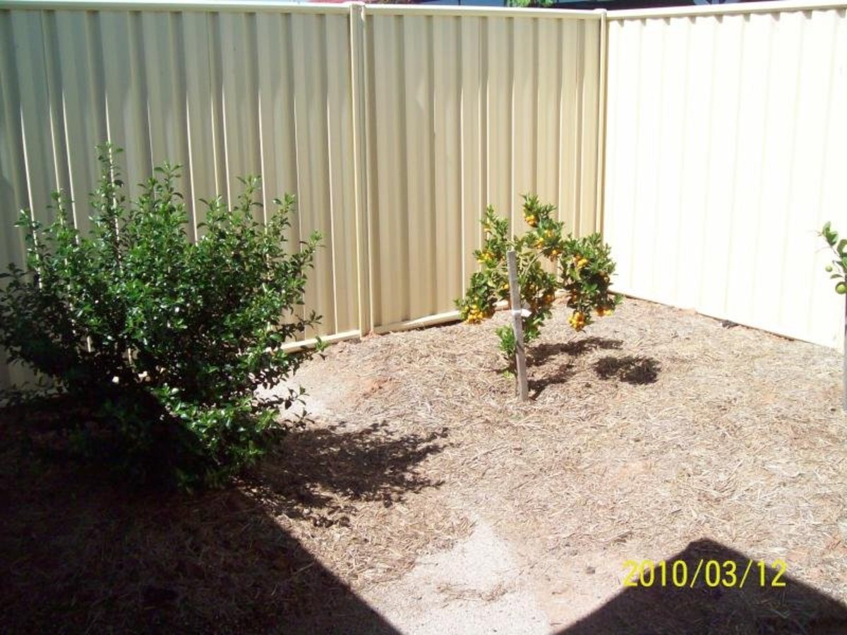 14B Moran Street, Benalla