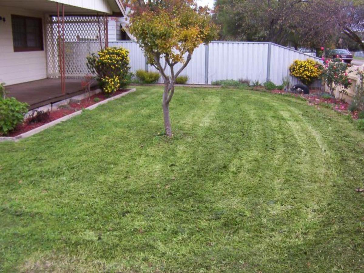 3 Tomkins Parade, Benalla