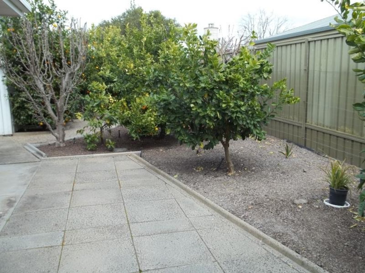 3 / 4 Moore Street, Benalla
