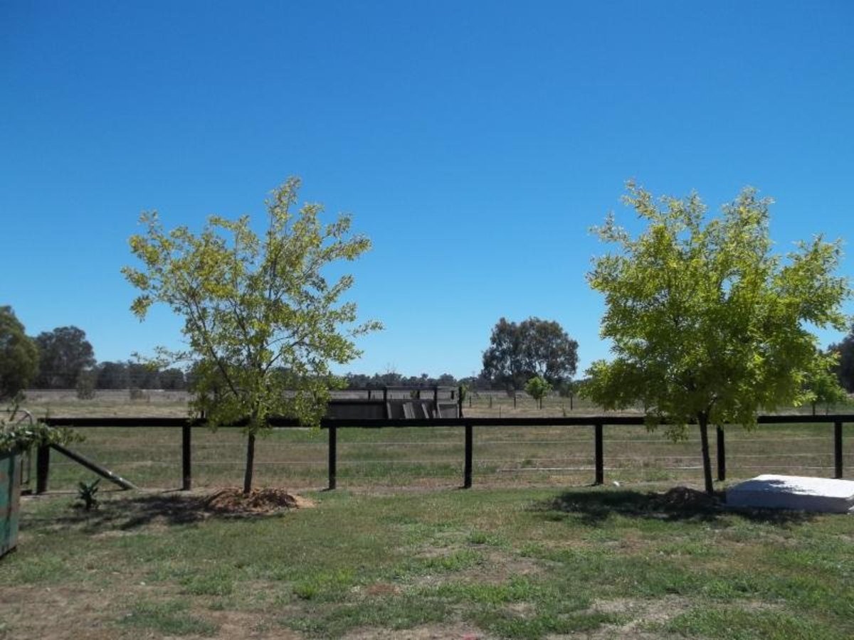 Benalla Road, Benalla