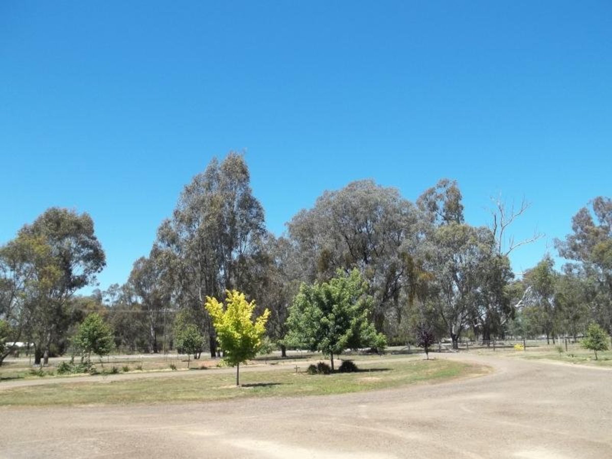 Benalla Road, Benalla