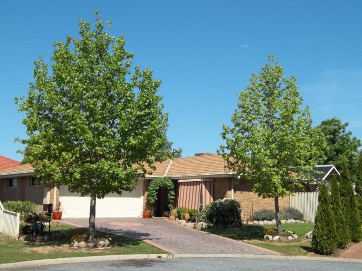 16 Exton Crescent, Benalla