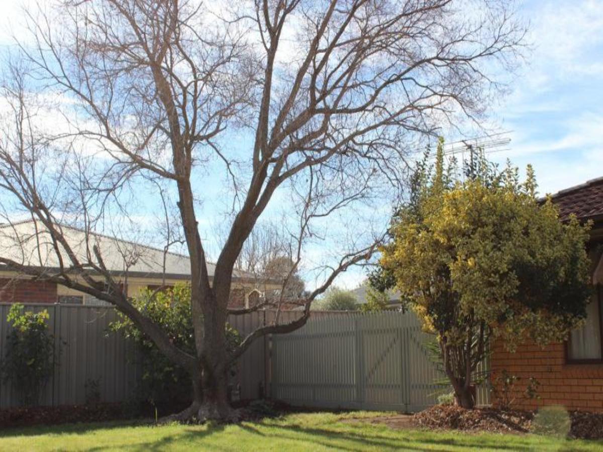 38 Carrier Street, Benalla