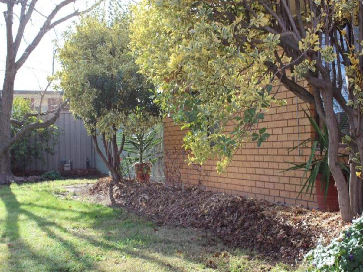 38 Carrier Street, Benalla