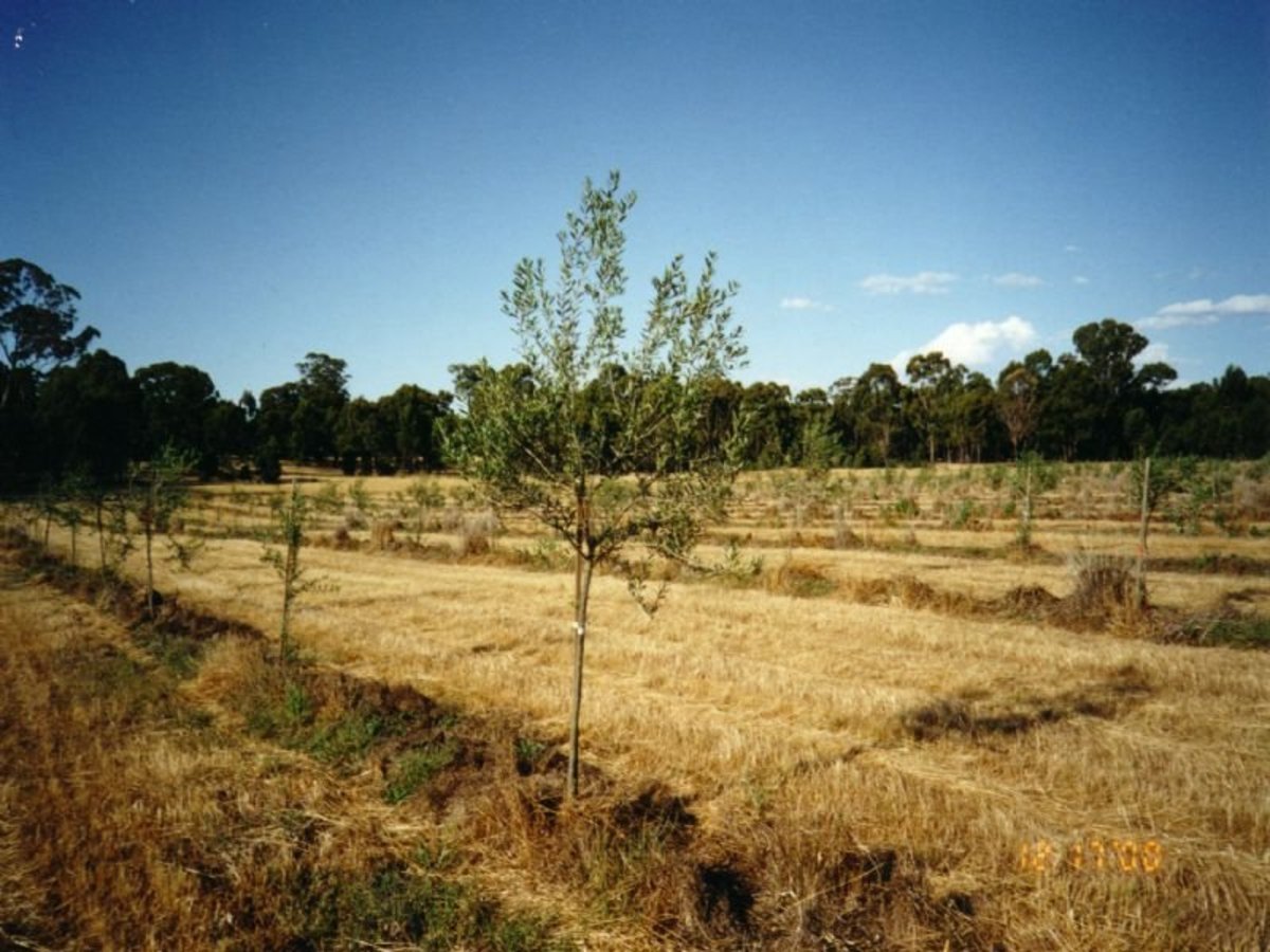 Lot 2 Sloans Road, Violet Town