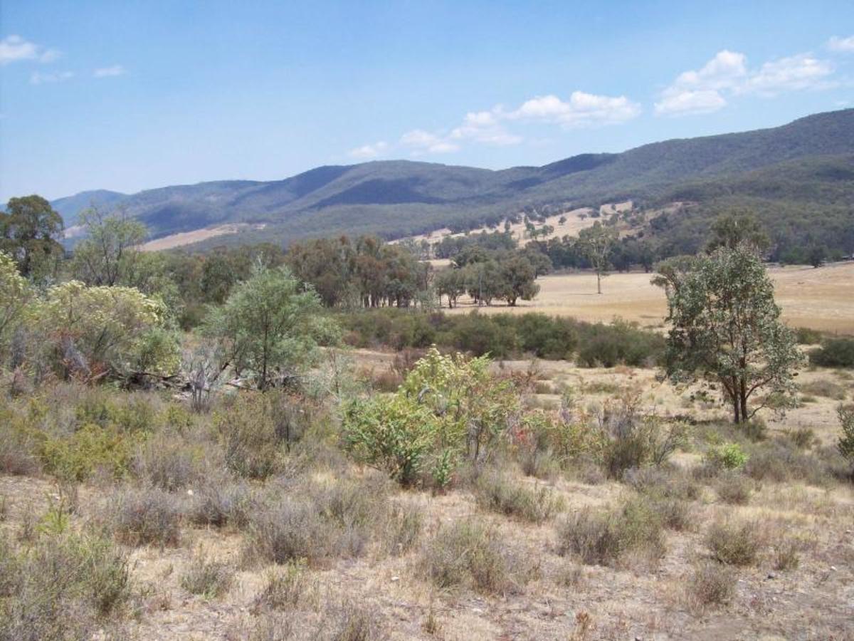 Lot 20A Tolmie Road, Tatong