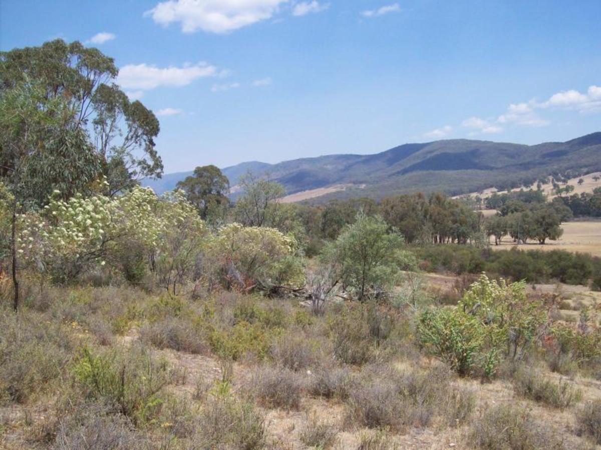 Lot 20A Tolmie Road, Tatong