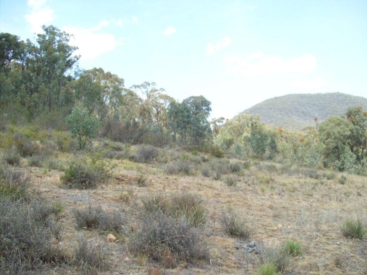 Lot 20A Tolmie Road, Tatong