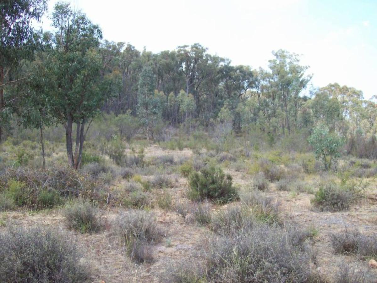 Lot 20A Tolmie Road, Tatong