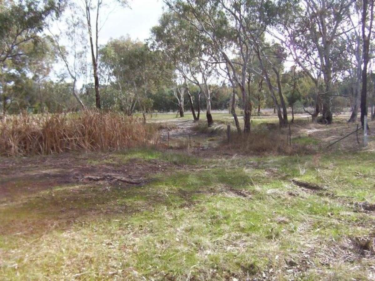 Lot 1 Old Hume Highway, Baddaginnie