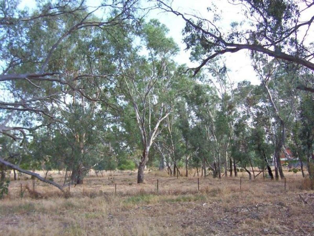 Lot 1 Old Hume Highway, Baddaginnie