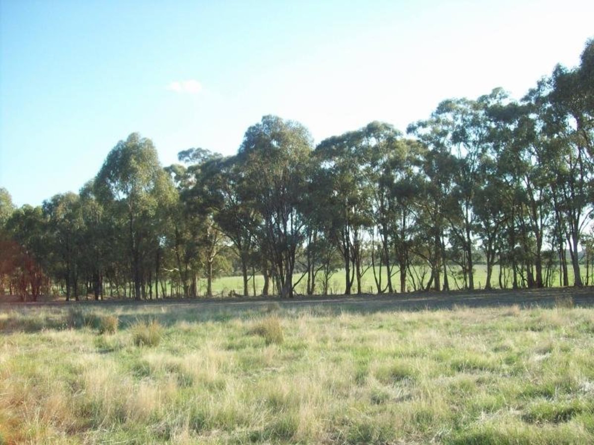 Lot 5 Braeside Lane, Benalla