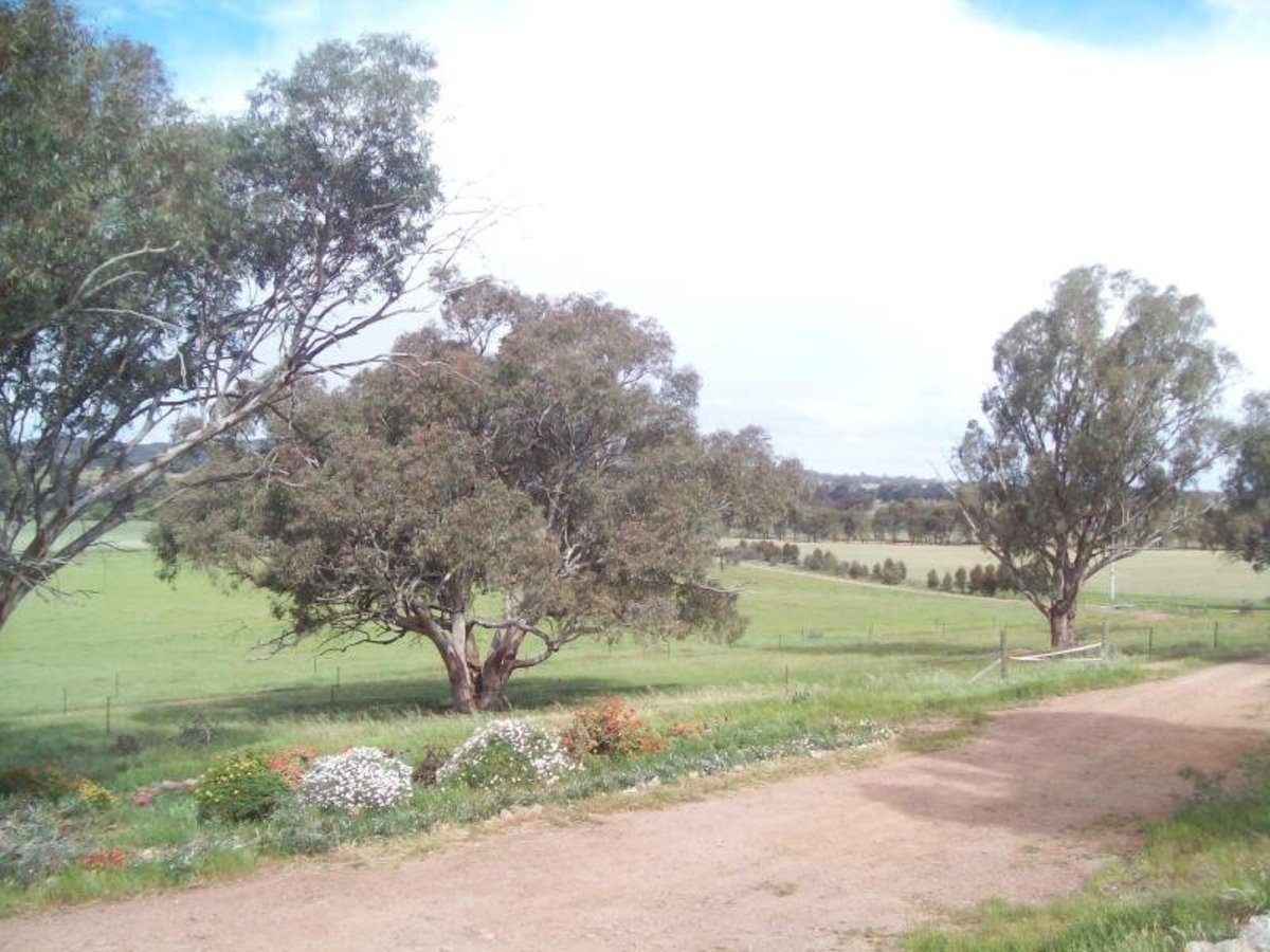 Goorambat Road, Goorambat
