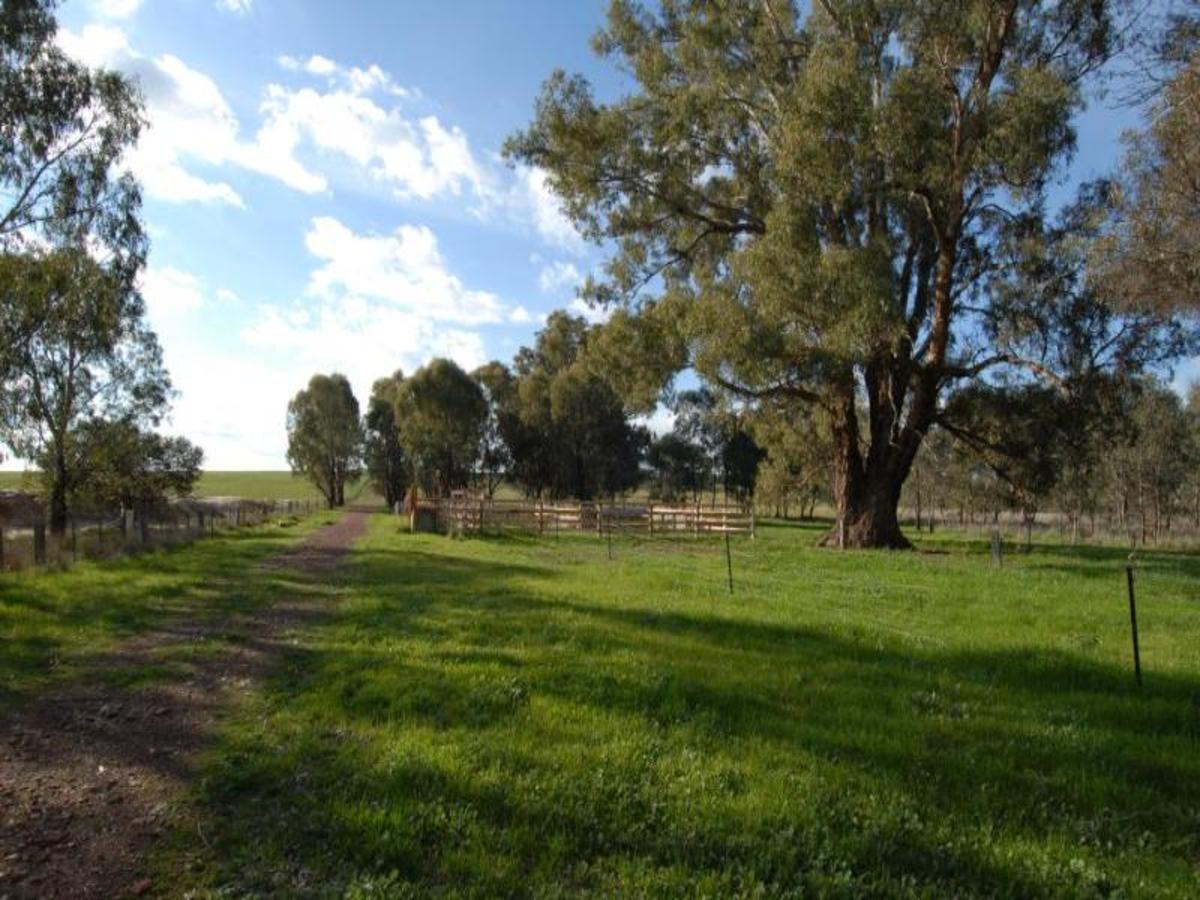 1382 Feltrim Road, Violet Town