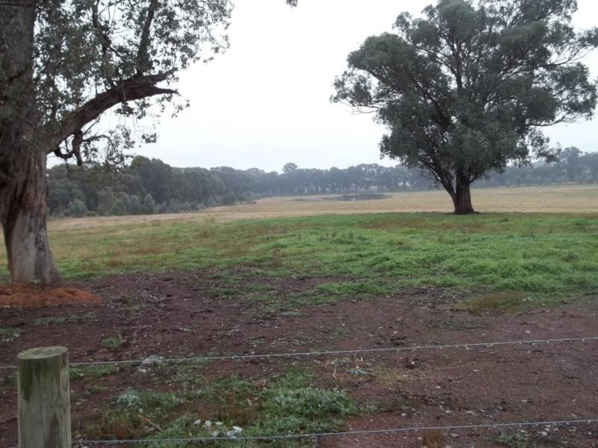 679 Winton-Lurg Road, Lurg