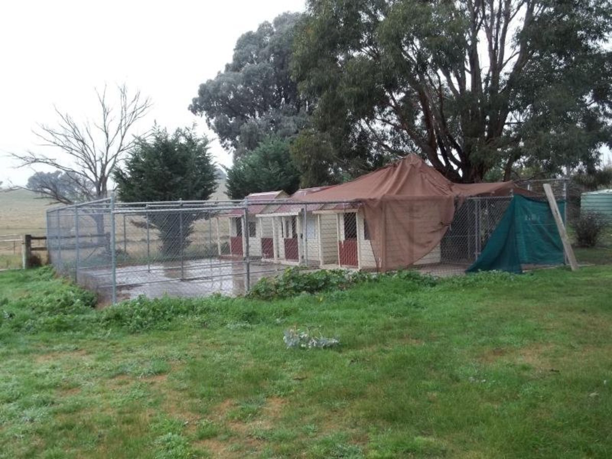 679 Winton-Lurg Road, Lurg