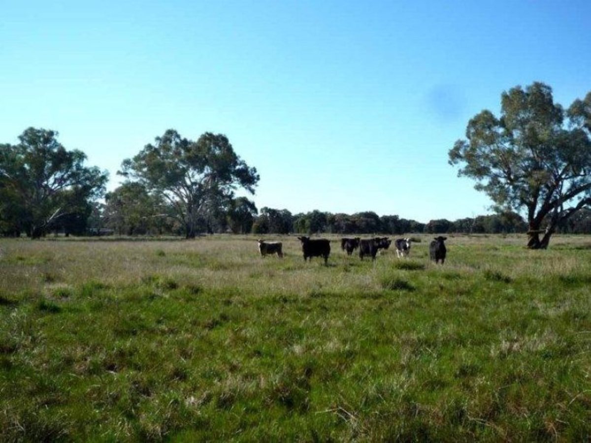 Lot 1 Billabong Lane, Violet Town