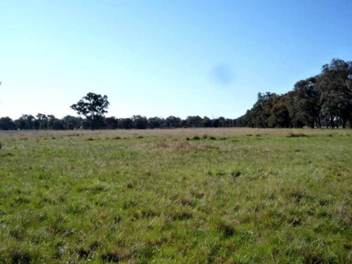 Lot 1 Billabong Lane, Violet Town