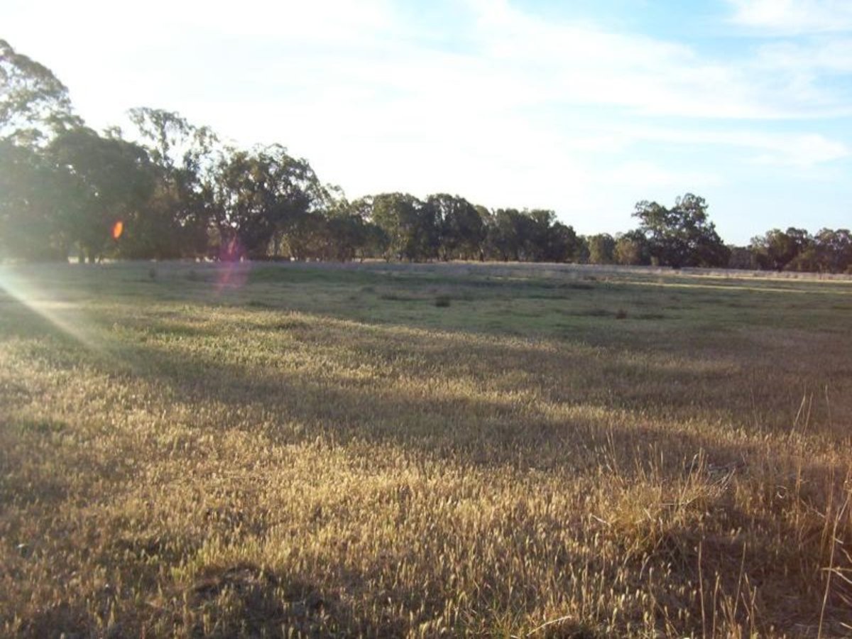 Lot 1 Billabong Lane, Violet Town
