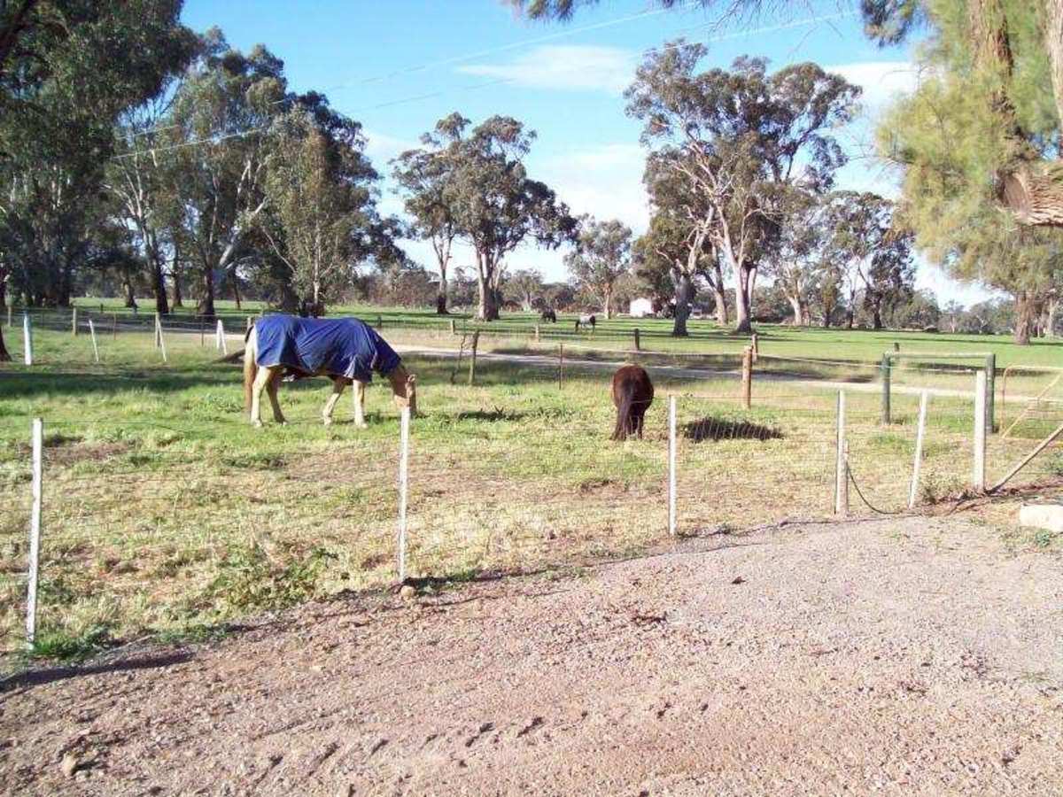 146 Steel Road, Benalla
