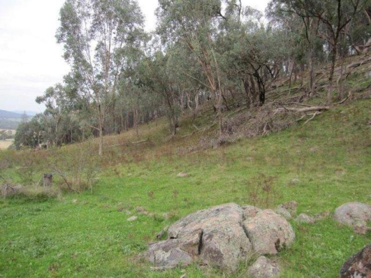 Lot 19 Parish Of Samaria Road, Swanpool